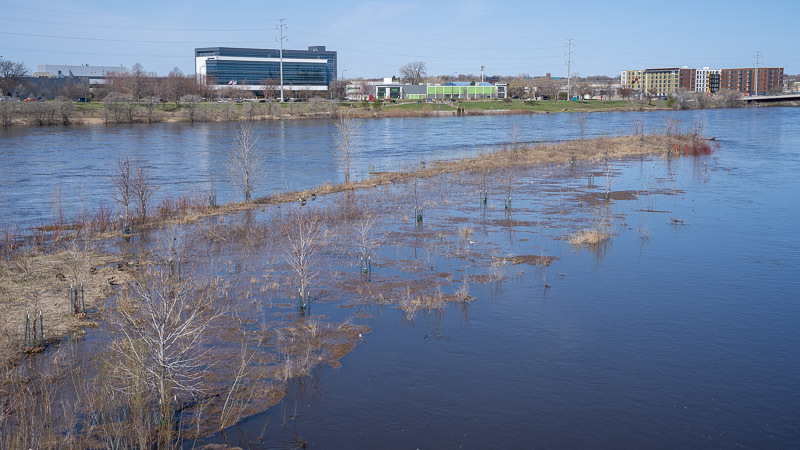 Flooding at Hall's Island in Minneapolis.