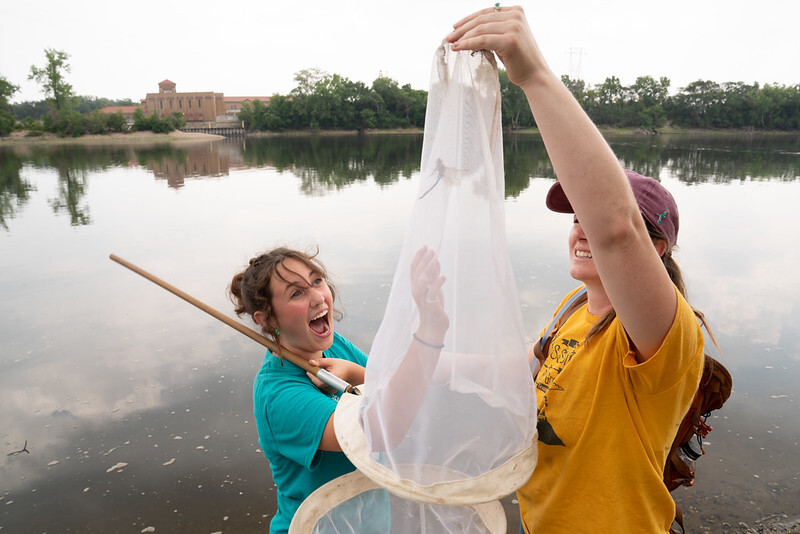 A Mississippi River Green Team member and supervisor catch a dragonfly in a net as part of a water quality education exercise.