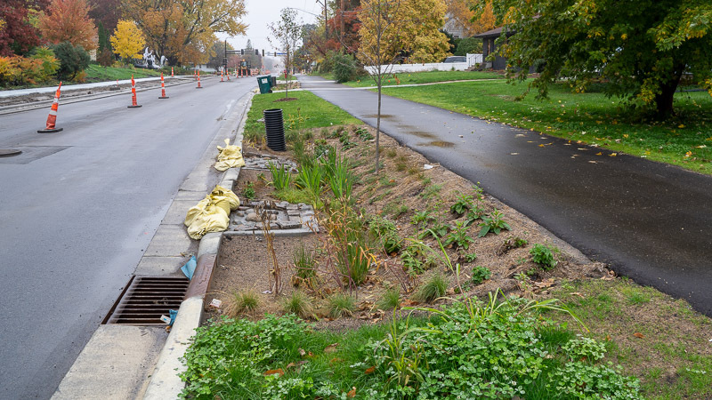 A newly constructed boulevard raingarden in Columbia Heights.