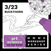 Art and Science on the River: Buckthorn Thumbnail