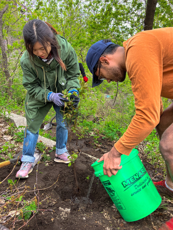 Volunteers helping plant trees at Father Hennepin Bluff Park 