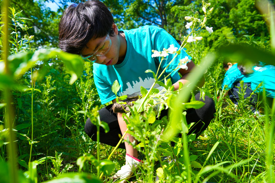 Mississippi River Green Team Member planting native plants