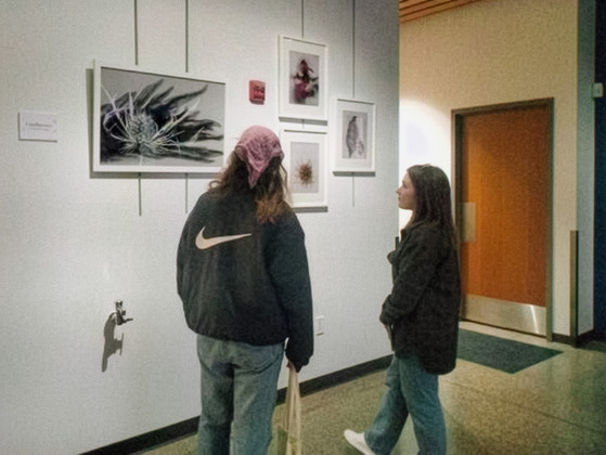 Guests view photographs by Tracy Walsh at the opening of the Still Moving art exhibit at MWMO