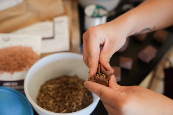 MWMO staff demonstrating making a seed bomb by wrapping native seeds in a clay shell