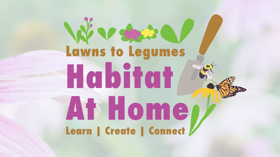 Lawns to Legumes Habitat at Home graphic featuring flowers, leaves, a garden trowel, a bee, and a monarch butterfly.
