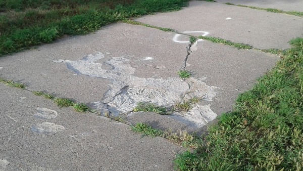 damaged sidewalks at Rev. Dr. Martin Luther King, Jr. Park 