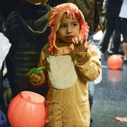 Halloween Powderhorn