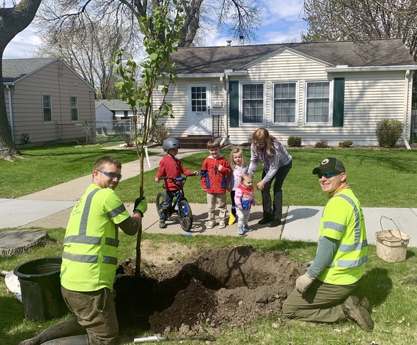 Now taking root: 9,000-plus new trees on Minneapolis streets and parkland