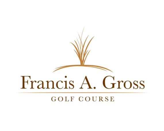 Gross National New Logo