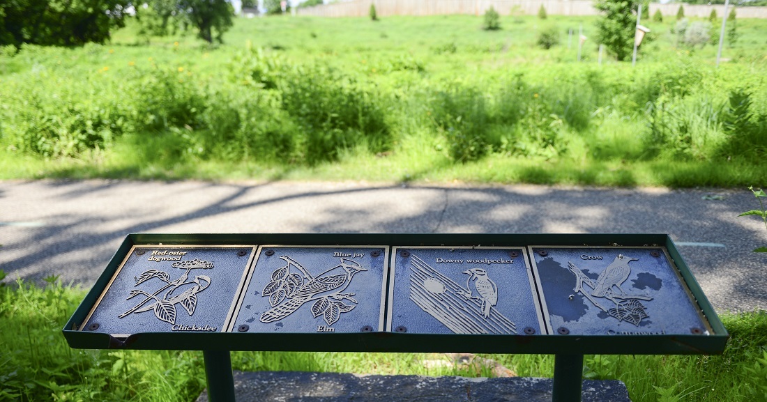 Interpretive sign depicting local birds at North Mississippi Regional Park
