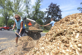 Park maintenance worker