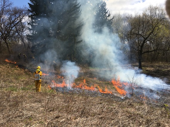 Prescribed burns planned in the Minneapolis park system this spring