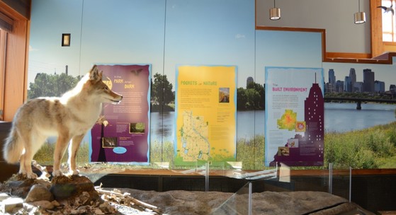 Nature in the City exhibit - detail - Kroening Interpretive Center