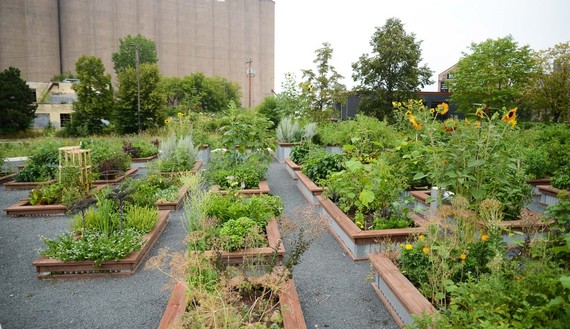 Towerside Garden (potentially renamed Bridal Veil Gardens) in August 2021