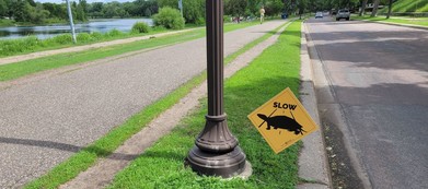 TURTLE crossing sign