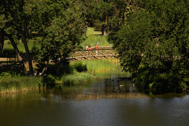 Loring Park bridge over pond