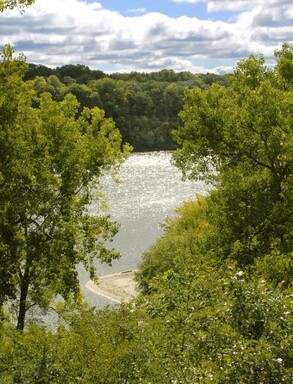 Mississippi River summer vertical crop