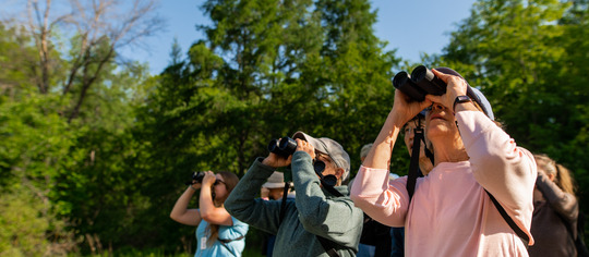 Adults bird watching