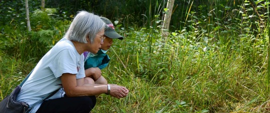 individuals forest bathing