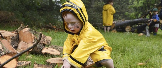 young child playing with loose tree parts