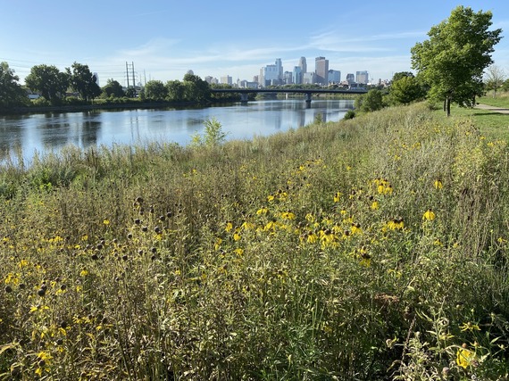 Mississippi River north of Broadway Ave. bridge with downtown Minneapolis skyline