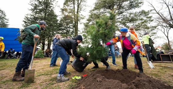People plant a tree during the 2023 Arbor Day Celebration at Windom Northeast Park