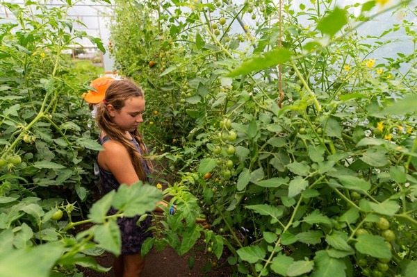 Garden to Table camp