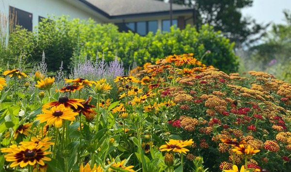 Lake Hiawatha rec center gardens