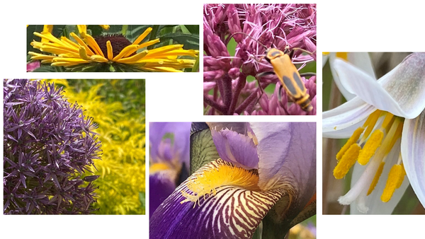 Bucket list composite