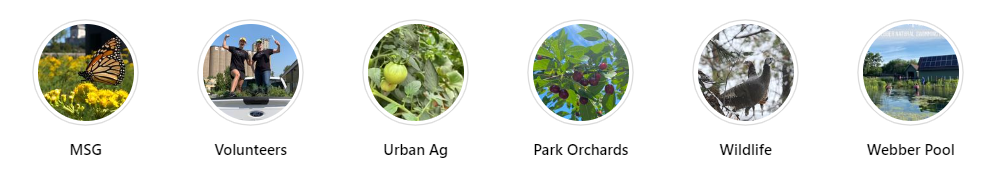 mplsgardens topics from IG