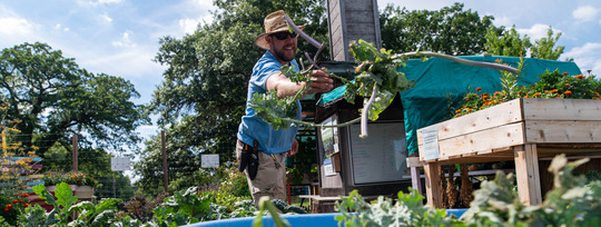 Education Staff working in the garden