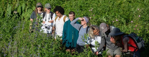 A garden tour group in the prairie