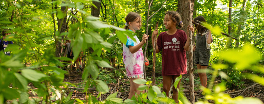 kids playing in the woods with sticks