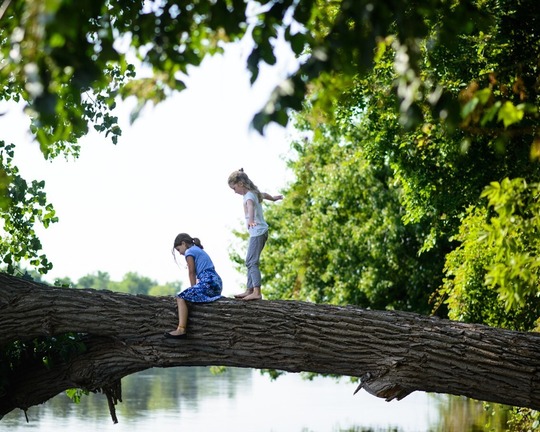 Youth on tree trunk