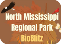 North Mississippi Regional Park Bioblitz