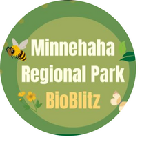 Minnehaha BioBlitz
