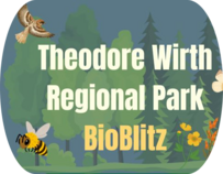 Theodore Wirth Regional Park Bioblitz