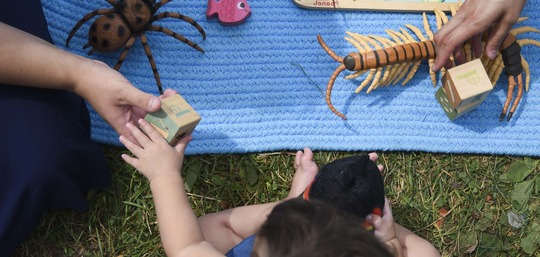 parent and child outside playing on a blanket with a Naturalist and animal toys