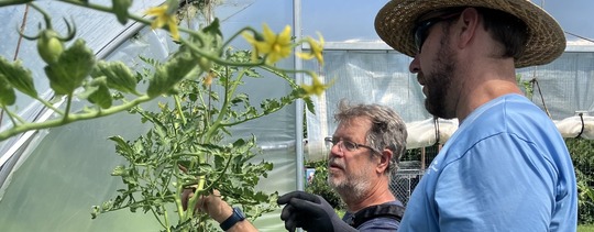 Garden educator teaching an adult about tomatoes