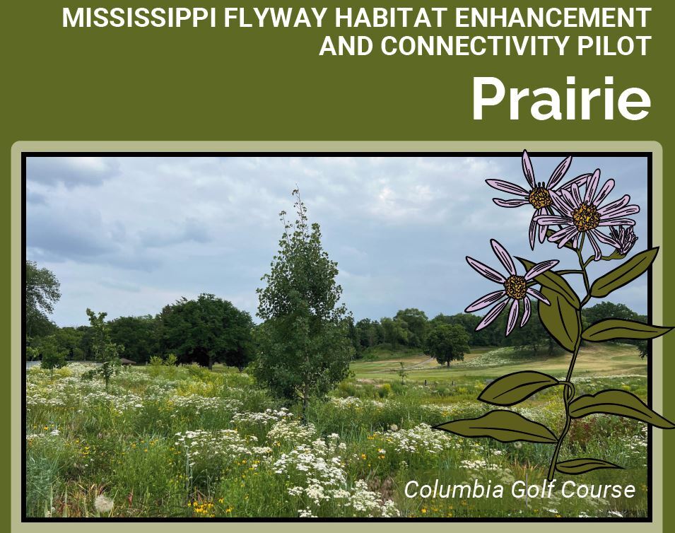 MISSISSIPPI FLYWAY HABITAT ENHANCEMENT AND CONNECTIVITY PILOT Prairie Columbia Golf Course