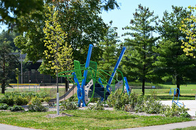 Bryn Mawr playground and plants