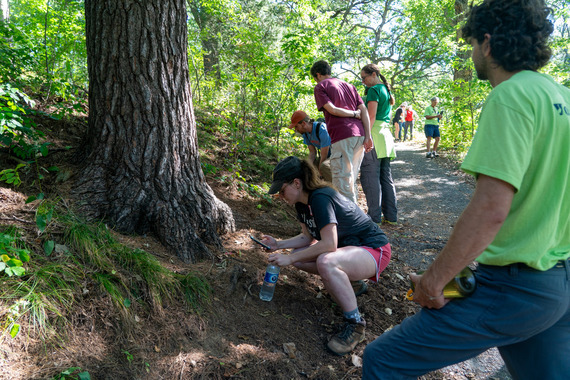 BioBlitz participants