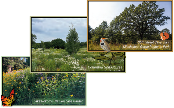Minneapolis parks with different types of habitat