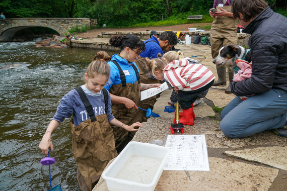 BioBlitz_Minnehaha Park_06142025_19L