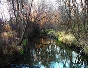 Coon Creek watershed in Anoka County