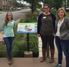 GreenCorps and stormwater