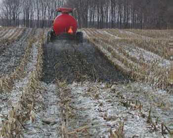 winter manure application