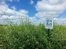 Reinvest in MN (RIM) conservation