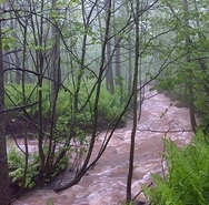 Turbid creek in St. Louis River watershed