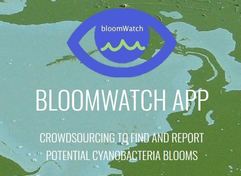 Bloomwatch App